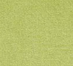 Adamo and eva 109 Swatch image for Adamo and eva 109